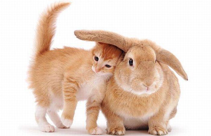 برای دیدن سایز بزرگ روی عکس کلیک کنید

نام: 307618_10151346233548769_544072692_n.jpg
دیدن: 886
حجم: 35.2 کیلو بایت