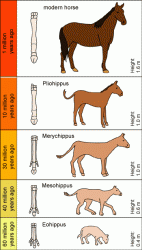 برای دیدن سایز بزرگ روی عکس کلیک کنید

نام: Evolution.gif
دیدن: 819
حجم: 25.8 کیلو بایت