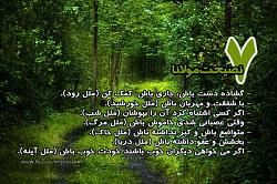 برای دیدن سایز بزرگ روی عکس کلیک کنید

نام: 486126_317212275062369_344532306_n.jpg
دیدن: 156
حجم: 110.8 کیلو بایت