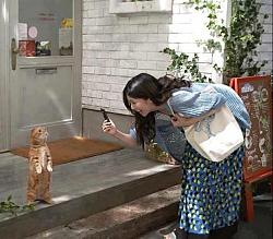 برای دیدن سایز بزرگ روی عکس کلیک کنید

نام: 735183_383224455107844_868176418_n.jpg
دیدن: 235
حجم: 96.7 کیلو بایت