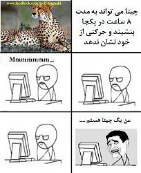 برای دیدن سایز بزرگ روی عکس کلیک کنید

نام: 484651_124547994383379_875719942_n.jpg
دیدن: 195
حجم: 48.0 کیلو بایت