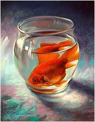 برای دیدن سایز بزرگ روی عکس کلیک کنید

نام: mahi2.jpg
دیدن: 645
حجم: 17.7 کیلو بایت