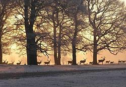برای دیدن سایز بزرگ روی عکس کلیک کنید

نام: tatton_christmas.jpg
دیدن: 311
حجم: 85.5 کیلو بایت