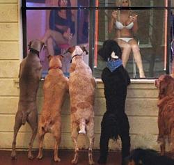 برای دیدن سایز بزرگ روی عکس کلیک کنید

نام: daily_picdump_1198_640_12.jpg
دیدن: 153
حجم: 56.6 کیلو بایت