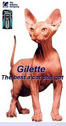 برای دیدن سایز بزرگ روی عکس کلیک کنید

نام: Gillette.jpg
دیدن: 149
حجم: 33.9 کیلو بایت
