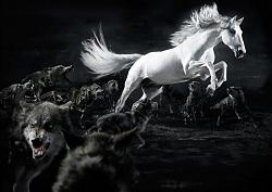 برای دیدن سایز بزرگ روی عکس کلیک کنید

نام: userupload_2012_18076339841366813254.97.jpg
دیدن: 132
حجم: 80.4 کیلو بایت
