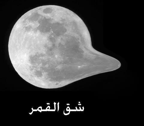 نام: 21148_571611469527319_1457777948_n.jpg نمایش: 288 اندازه: 14.3 کیلو بایت