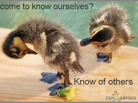برای دیدن سایز بزرگ روی عکس کلیک کنید

نام: Funny-Animals-come-to-know-ourselves-Know-of-others.jpg
دیدن: 217
حجم: 56.6 کیلو بایت
