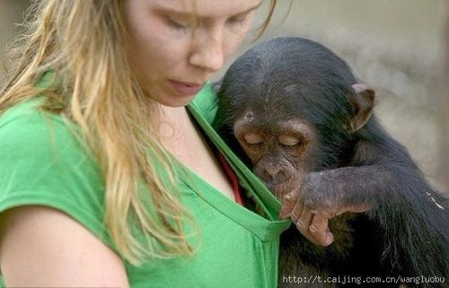برای دیدن سایز بزرگ روی عکس کلیک کنید

نام: tumblr_man8ngtaIq1r1vohfo1_500.jpg
دیدن: 262
حجم: 41.9 کیلو بایت