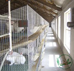 برای دیدن سایز بزرگ روی عکس کلیک کنید

نام: 2009910181359.jpg
دیدن: 1132
حجم: 189.5 کیلو بایت