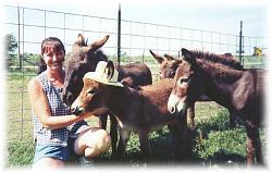برای دیدن سایز بزرگ روی عکس کلیک کنید

نام: Dot & Donkeys - hatsoft.jpg
دیدن: 184
حجم: 79.5 کیلو بایت