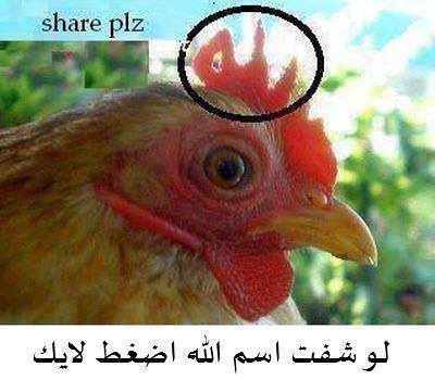 برای دیدن سایز بزرگ روی عکس کلیک کنید

نام: 530272_498824263531932_254124063_n.jpg
دیدن: 164
حجم: 23.3 کیلو بایت