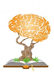 برای دیدن سایز بزرگ روی عکس کلیک کنید

نام: brain_book.jpg
دیدن: 621
حجم: 198.3 کیلو بایت