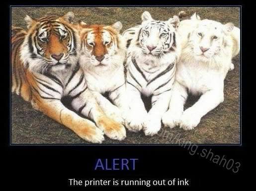 برای دیدن سایز بزرگ روی عکس کلیک کنید

نام: out of ink.jpg
دیدن: 231
حجم: 33.6 کیلو بایت