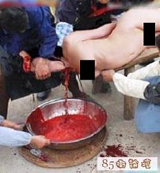 برای دیدن سایز بزرگ روی عکس کلیک کنید

نام: cannibalism04.jpg
دیدن: 985
حجم: 89.1 کیلو بایت