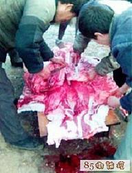 برای دیدن سایز بزرگ روی عکس کلیک کنید

نام: cannibalism08.jpg
دیدن: 715
حجم: 117.6 کیلو بایت