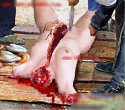 برای دیدن سایز بزرگ روی عکس کلیک کنید

نام: cannibalism10.jpg
دیدن: 5734
حجم: 96.3 کیلو بایت