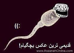 برای دیدن سایز بزرگ روی عکس کلیک کنید

نام: 1150191_417530795020144_1939881932_n.jpg
دیدن: 94
حجم: 9.5 کیلو بایت