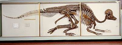 نام: dino_n.jpg نمایش: 192 اندازه: 13.7 کیلو بایت