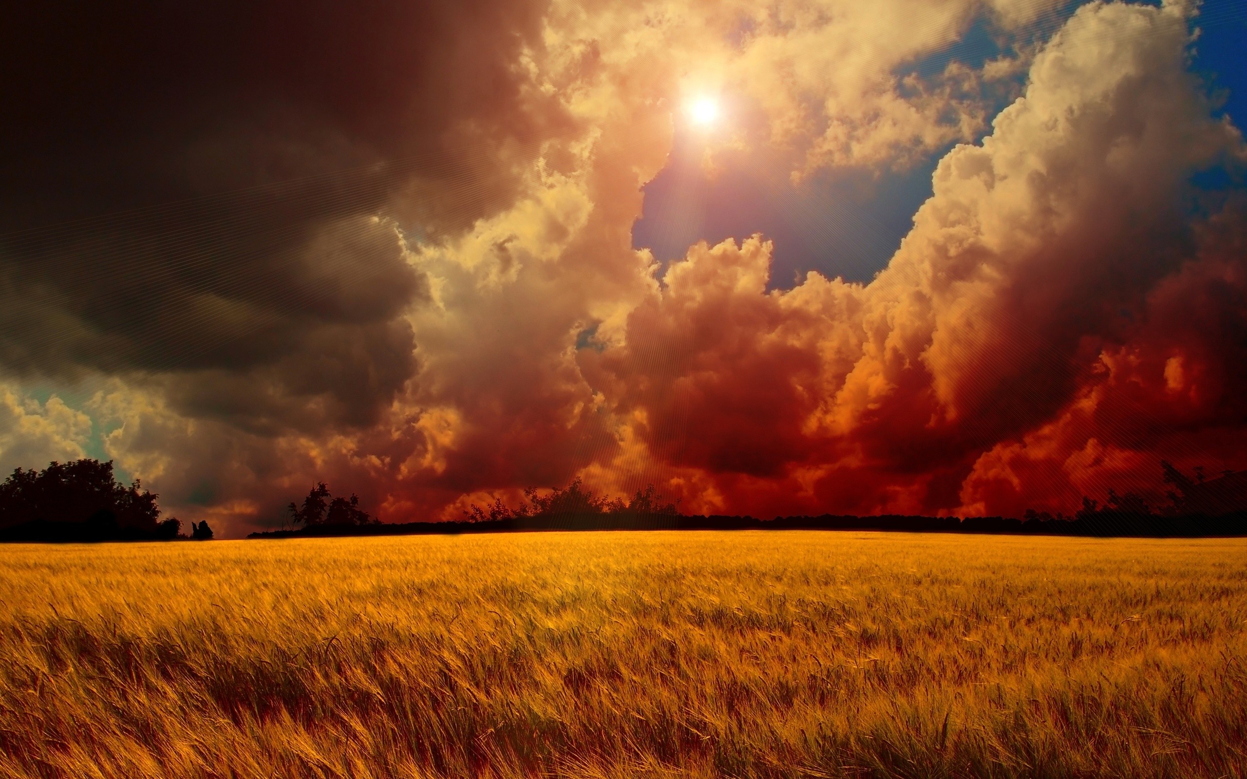 برای دیدن سایز بزرگ روی عکس کلیک کنید

نام: Sun-Field-Ears-Autumn-Sky-Clouds-Gleam-Dense.jpg
دیدن: 257
حجم: 883.4 کیلو بایت