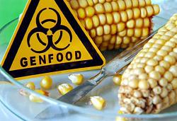 برای دیدن سایز بزرگ روی عکس کلیک کنید

نام: intro_nanofood_mais_g.jpg
دیدن: 70
حجم: 46.5 کیلو بایت