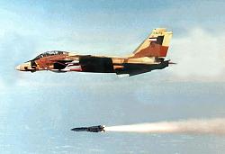 برای دیدن سایز بزرگ روی عکس کلیک کنید

نام: islamic-republic-of-iran-air-force-iriaf-grumman-f-14-tomcat-supersonic-twin-engine-two-seat-var.jpg
دیدن: 263
حجم: 116.0 کیلو بایت