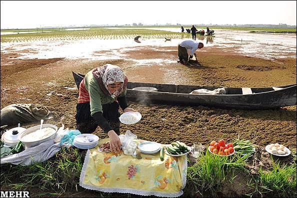 برای دیدن سایز بزرگ روی عکس کلیک کنید

نام: 529776_548998495132785_1886833655_n.jpg
دیدن: 186
حجم: 72.2 کیلو بایت