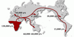 برای دیدن سایز بزرگ روی عکس کلیک کنید

نام: human_migration.gif
دیدن: 67
حجم: 20.1 کیلو بایت