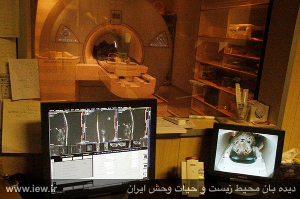 نام: MRI.jpg نمایش: 135 اندازه: 72.6 کیلو بایت
