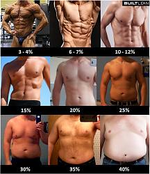 برای دیدن سایز بزرگ روی عکس کلیک کنید

نام: bodyfat.jpg
دیدن: 196
حجم: 98.3 کیلو بایت