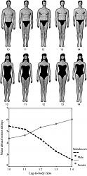 برای دیدن سایز بزرگ روی عکس کلیک کنید

نام: leg.body.ratio.jpg
دیدن: 185
حجم: 111.8 کیلو بایت