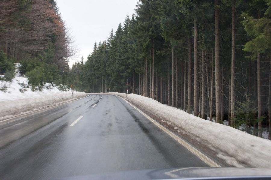 نام: Germany-Arber-2010_042_1236.jpg نمایش: 130 اندازه: 195.2 کیلو بایت