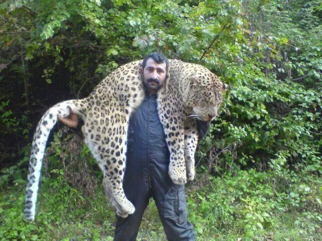 برای دیدن سایز بزرگ روی عکس کلیک کنید

نام: 1891093_10151964316537544_1835851198_n.jpg
دیدن: 89
حجم: 69.6 کیلو بایت