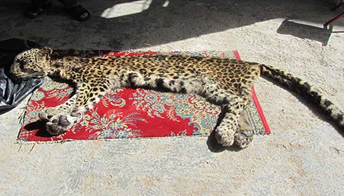 نام: 72868_869.jpg نمایش: 69 اندازه: 64.6 کیلو بایت