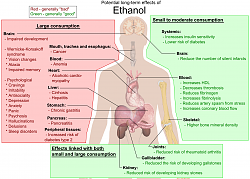 برای دیدن سایز بزرگ روی عکس کلیک کنید

نام: Possible_long-term_effects_of_ethanol.png
دیدن: 1337
حجم: 872.3 کیلو بایت