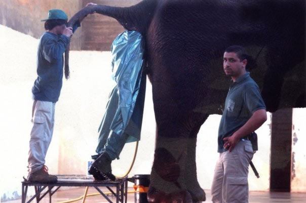 نام: man-in-elephant-ass1.jpg نمایش: 67 اندازه: 53.6 کیلو بایت