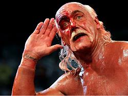 برای دیدن سایز بزرگ روی عکس کلیک کنید

نام: hulk-hogan.jpg
دیدن: 73
حجم: 90.5 کیلو بایت