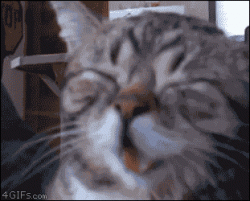 برای دیدن سایز بزرگ روی عکس کلیک کنید

نام: face.gif
دیدن: 77
حجم: 1,023.8 کیلو بایت