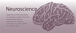 برای دیدن سایز بزرگ روی عکس کلیک کنید

نام: neuroscience.png
دیدن: 56
حجم: 428.4 کیلو بایت