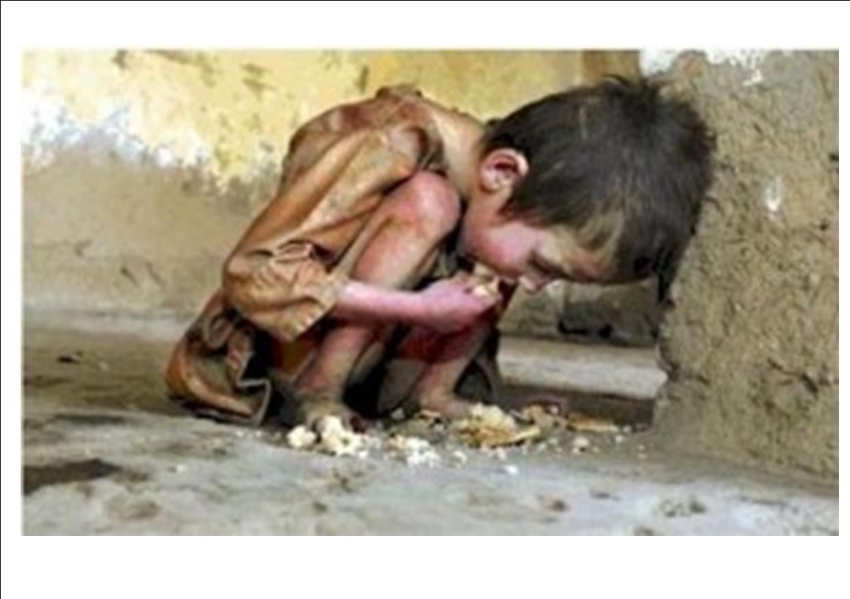 برای دیدن سایز بزرگ روی عکس کلیک کنید

نام: poor-starving-child.jpg
دیدن: 91
حجم: 80.1 کیلو بایت