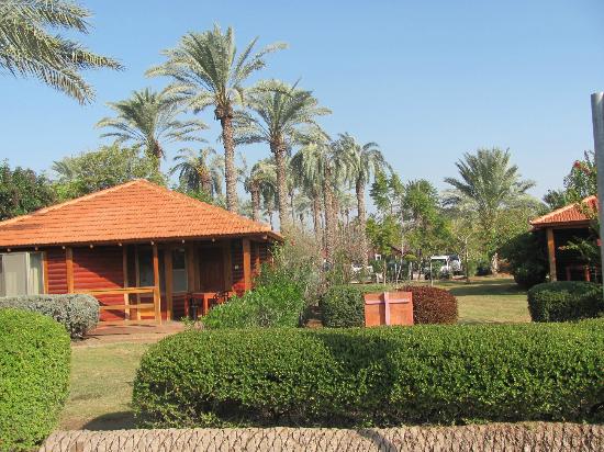 نام: kibbutz-nir-david-tel.jpg نمایش: 64 اندازه: 63.0 کیلو بایت