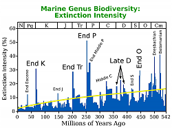 برای دیدن سایز بزرگ روی عکس کلیک کنید

نام: 2000px-Extinction_Intensity.svg.png
دیدن: 183
حجم: 248.7 کیلو بایت