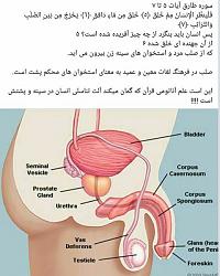 برای دیدن سایز بزرگ روی عکس کلیک کنید

نام: photo557646931987376273.jpg
دیدن: 743
حجم: 47.5 کیلو بایت