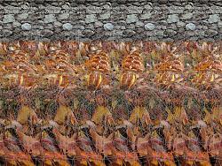 برای دیدن سایز بزرگ روی عکس کلیک کنید

نام: 8_Legs__Magical_Stereogram_by_3Dimka.jpg
دیدن: 689
حجم: 364.1 کیلو بایت