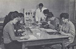 برای دیدن سایز بزرگ روی عکس کلیک کنید

نام: biology_class_kabul_university.jpg
دیدن: 78
حجم: 56.7 کیلو بایت