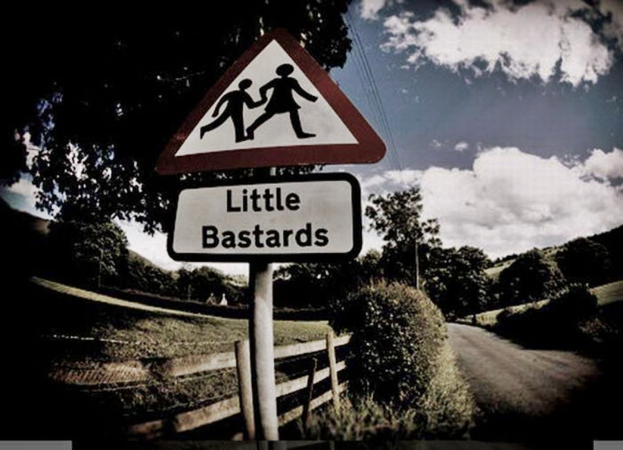 نام: Little bastards.jpg نمایش: 390 اندازه: 273.8 کیلو بایت