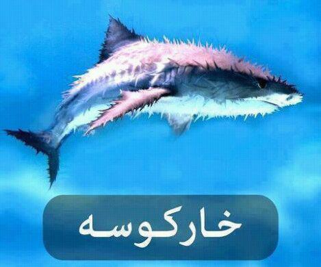نام: kharkooseh.jpg نمایش: 1116 اندازه: 28.3 کیلو بایت
