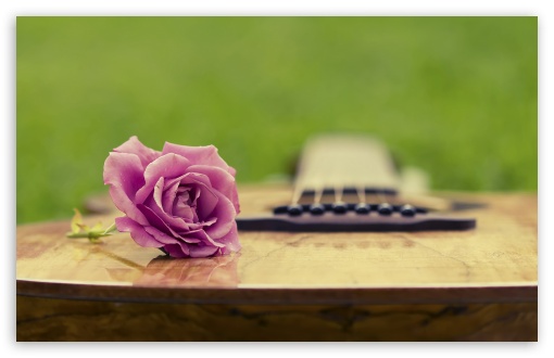 برای دیدن سایز بزرگ روی عکس کلیک کنید

نام: rose-romantic-guitar-Favim.com-484825.jpg
دیدن: 199
حجم: 39.1 کیلو بایت